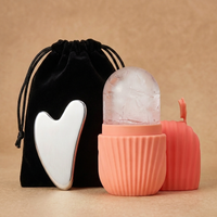 Ice Roller + Gua Sha