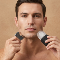 Ice Roller + Gua Sha